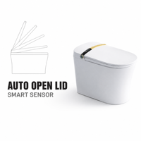 Toilette intelligente avec siège chauffant, commande vocale, télécommande, céramique, montage au sol, chasse d'eau par siphon