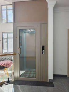 Variedad Apariencia Estilos Seguridad WL 2025 Diseño moderno Casa personalizada Ascensor 2-5 pisos - Product Image 6