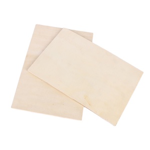 Papan Kayu Lapis Fenolik Eucalyptus Tahan Air 3/4 X 4 X 8 - Product Image 4