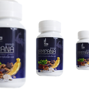 Herbal Vitality Maca Cápsula Suplemento para adultos Producto de fibra dietética para mujeres no embarazadas Mejora la resistencia energética - Product Image 1