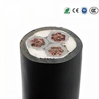 Câble d'alimentation souterrain à conducteur en cuivre, basse tension, isolé XLPE, gaine PE, blindé, sans halogène, ignifuge à faible émission de fumée