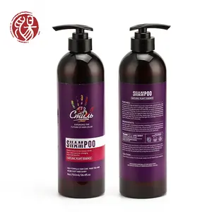 Zunrong venta al de etiqueta privada Natural bio planta oem libre de sulfato aceite de argán champú para el cabello dañado