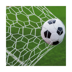 Red de Fútbol Profesional Portátil de Polipropileno <span class=keywords><strong>Aoson</strong></span>, Blanca, Malla de 12x12cm, para Partidos y Entrenamientos - Product Image 1