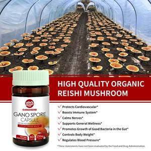 GANOHERB toptan organik <span class=keywords><strong>Ganoderma</strong></span> Lucidum kapsül bitkisel takviyeler özü <span class=keywords><strong>Reishi</strong></span> mantarı Lingzhi - Product Image 3