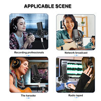 Depusheng MD22-MX Nouvelle arrivée Carte son de studio professionnelle USB Interface d'enregistrement audio et ensemble de microphones pour studio de musique
