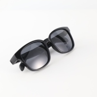 Lunettes Audio Intelligentes en Gros avec Traducteur IA, Audio Ouvert, Plus de 130 Langues, Sans Caméra, Idéales pour Réunions et Voyages