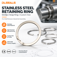 DLSEALS Stainless Steel Snap Ring Circlip Custom Non-Standard Precision for Shaft Bore Groove Industrial Assembly OEM Bulk