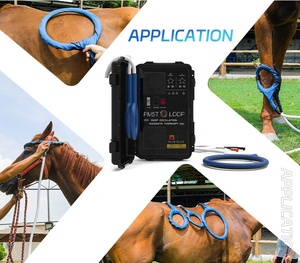 Equine PMST LOOP PEMF terapi lapangan elektromagnetik perawatan aman dan efektif mengurangi nyeri nyeri nyeri nyeri pada kuda - Product Image 6