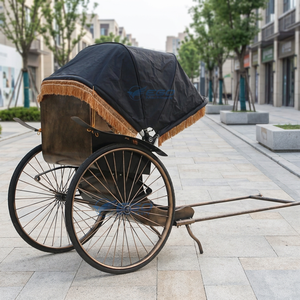 Rickshaw électrique Manpower, nouveau style, 2 roues, pneus en caoutchouc massif, peinture 3K, à vendre - Product Image 1