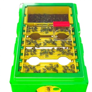 Nuevo Núcleo de Fecundación Portátil YUMO con Tapa Transparente para Observación, Material HDPE+PP, Caja de Núcleo para Abejas de 4 Cuadros, 1 Año de Garantía - Product Image 3