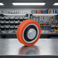 Roulettes coulissantes robustes de haute qualité pour meubles, prix usine (ML-AU053)
