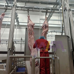 Petit abattoir de bovins, ligne d'abattage de 20, 50, 60 bovins, machine de transformation de la viande de bœuf, <span class=keywords><strong>taureau</strong></span> - Product Image 4