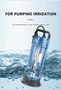 <span class=keywords><strong>Pompe</strong></span> à eau submersible 0,5 CV, 1 pouce, haute pression, haute levée, haut débit pour l'irrigation, la ferme, le jardin, la <span class=keywords><strong>piscine</strong></span>, l'eau propre, 220 V - Product Image 4