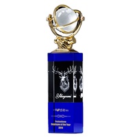 Trophées personnalisés en cristal et métal durables avec gravure laser 3D et emballage cadeau