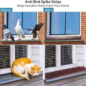 Púas de plástico para pájaros de 43 cm, paquete de 12, para balcón, techo, disuasorio para pájaros y gatos, protección ecológica - Product Image 3