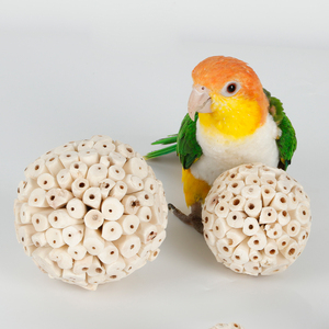 Doğal Sola ahşap kuş oyuncakları yumuşak çiğnemek papağan Parrotlets budbudfinches Macaws için yem oyuncak-çevre dostu - Product Image 5