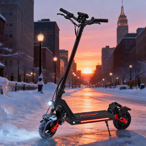 Patinete Eléctrico de 9 Pulgadas para Desplazamientos Invernales, Entrega Rápida, 48V, Potente, Plegable para Adultos, en Existencia en EE. UU. - Product Image 1