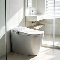 Toilette intelligente haut de gamme à ouverture et fermeture automatiques, chauffage instantané, anti-refoulement, personnalisation de la tension multi-pays pour salle de bain domestique