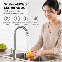 Robinet de cuisine en acier inoxydable brossé, eau froide, avec logo personnalisé, vente en gros d'usine