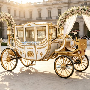 Calèche royale électrique économique avec pneus en caoutchouc massif pour mariage / Véhicule électrique - Product Image 4