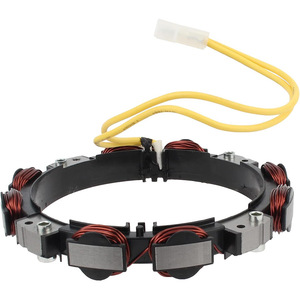 Alternateur Briggs Stratton 592830, dynamo testé et certifié pour pièces de moteur à essence - Product Image 2