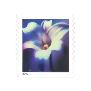 Estampillas Postales Vintage 2015 con Diseño de Rosas, Estampillas Permanentes para Envíos, Hoja de Estampillas Postales de EE. UU., Pegatinas para Correo - Product Image 5