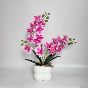 2 Ramas de 18 Flores, Orquídea Phalaenopsis Artificial, Bonsái, Adorno Creativo de Escritorio, Planta Artificial en Maceta para Decoración del Hogar - Product Image 2