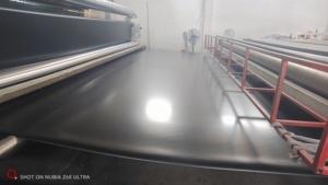 Géomembrane HDPE LLDPE <span class=keywords><strong>de</strong></span> 1 mm 2 mm, revêtement <span class=keywords><strong>de</strong></span> bassin, revêtement <span class=keywords><strong>de</strong></span> barrage, biodigesteur, décharge, ferme piscicole à <span class=keywords><strong>vendre</strong></span> au prix d'usine - Product Image 5