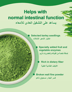 Wins Town Superfoods Poudre de jus d'herbe d'orge Boisson détox pour le corps Poudre de perte de poids - Product Image 6