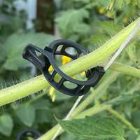Clips de Soutien pour Plantes en Bioplastique/Polypropylène Transparent à Forte Adhérence 16-25mm pour Tomates, Concombres, Lianes – Jardin Multi-Saisons
