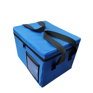 Nevera Portátil Rectangular Azul Aislada, Bolsa Multifuncional para Picnic con Cremallera y Asa - Product Image 1