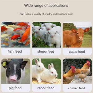 Machine automatique <span class=keywords><strong>de</strong></span> fabrication <span class=keywords><strong>de</strong></span> granulés d'aliments pour animaux 220V/380V, équipement agricole pour la production <span class=keywords><strong>de</strong></span> céréales avicoles - Product Image 3