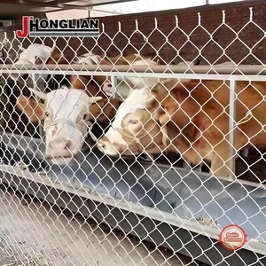 Beveiligen Hek Boerderijen Gaas Kettingschakel Hek Groen Gecoat Kettingschakel Hek Met Palen Prikkeldraad Bovenop - Product Image 4