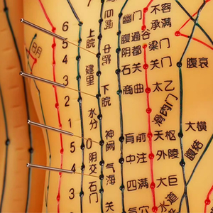 ZHongyan Taihe Science médicale 50cm modèle d'<span class=keywords><strong>acupuncture</strong></span> Point de corps - Product Image 6