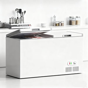 <span class=keywords><strong>Congelador</strong></span> Horizontal Comercial de Gran Capacidad con Doble Temperatura y Enfriamiento Directo, con Estantes Ajustables - Product Image 2