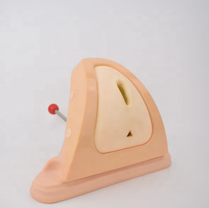 Con Người Bệnh Nhân Đáy Chậu Cắt Và Khâu Đào Tạo Mô Phỏng - Product Image 2