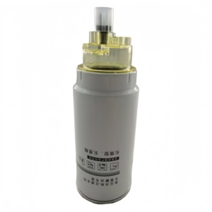 Filtro de Combustible para Camiones de Alta Calidad, Piezas de Motor de Camión PL420 1000422381 612600081335 para Motor Sinotruk HOWO FAW y Weichai - Product Image 1