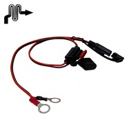 Câble solaire chinois CE IP67 étanche en PVC 16AWG 600mm 1H-2OF avec connecteur pour système solaire