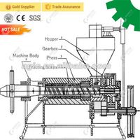 Machine d'extraction d'huile de germe de maïs à petit prix pour les petites entreprises