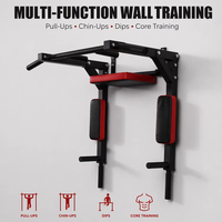 Bar Pull Up Dinding Multifungsi Grosir, Stasiun Latihan Dinding untuk Pull Up, Dip, Core, Home Gym, Latihan Kekuatan