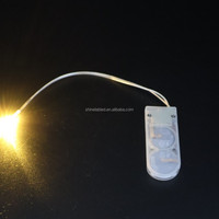 Mini lampe LED à pile bouton pour la décoration de boîtes cadeaux et de projets DIY