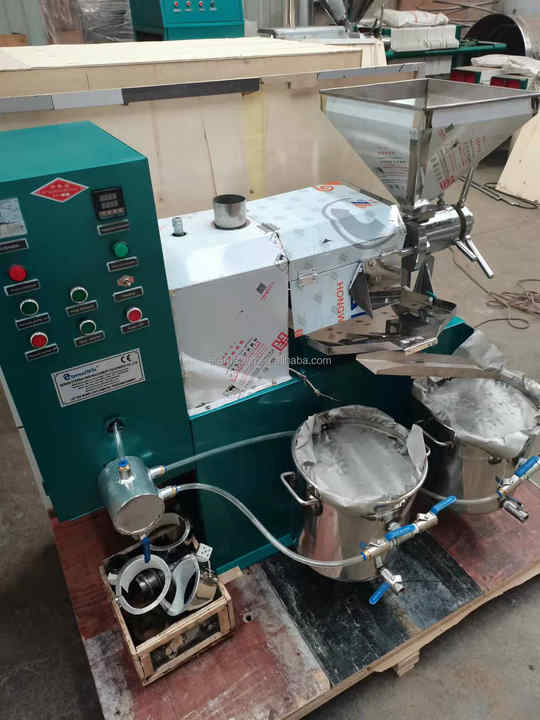 Automatic cooking oil pressing machine wax gourd seed oil press pomegranate seed oil making machine