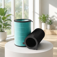 H13 HEPA-Filter EJT-S200 Ersatz Kompatibel mit Balmuda AirEngine JetClean Luftreiniger EJT-1100SD 360 °   Luftfilter