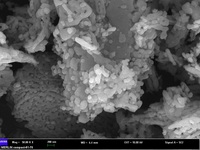 (nano MgO 30-50nm 99.9%) Nanopartículas de Óxido de Magnesio