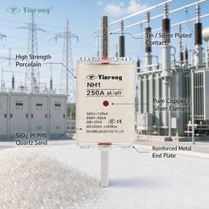 ฟิวส์ความเร็วสูง GALAXY NH000/NH00/NH1/<span class=keywords><strong>NH2</strong></span>/<span class=keywords><strong>NH3</strong></span>/NH4(CE) ลดการสูญเสียพลังงานต่ำ 690vdc 250a 400a 800a มาตรฐานระดับโลก - Product Image 2