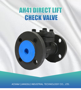 Phản ứng nhanh đáng tin cậy kiểm tra van áp lực cao dễ dàng để duy trì van kiểm tra thang máy - Product Image 6