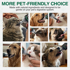 <span class=keywords><strong>Charbon</strong></span> <span class=keywords><strong>Actif</strong></span> en Gel <span class=keywords><strong>pour</strong></span> Animaux de Compagnie : Absorption des Toxines et Soutien Digestif <span class=keywords><strong>pour</strong></span> <span class=keywords><strong>Chiens</strong></span> et Chats (Marque Privée OEM) - Product Image 6