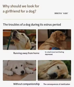 Toptan seksi Humping çiftleşme seks oyuncak gerçekçi köpek oyuncak yumuşak kürk silikon malzeme yerleşik titreşimli ses arkadaşı köpekler için - Product Image 6