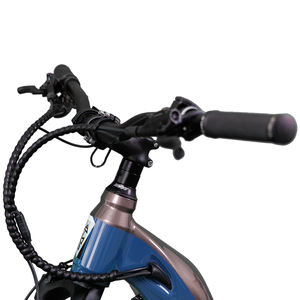 Tenvels usine ebike <span class=keywords><strong>750</strong></span> 1000 <span class=keywords><strong>watts</strong></span> 48v moteur central à suspension complète M620 alliage d'aluminium vélo de montagne électrique <span class=keywords><strong>vtt</strong></span> vélo - Product Image 2