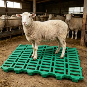 Équipement d'élevage agricole : Panneau de sol en plastique <span class=keywords><strong>à</strong></span> lattes pour moutons, chèvres, porcs, planche de drainage des excréments, <span class=keywords><strong>filet</strong></span> de drainage pour enclos animalier - Product Image 5